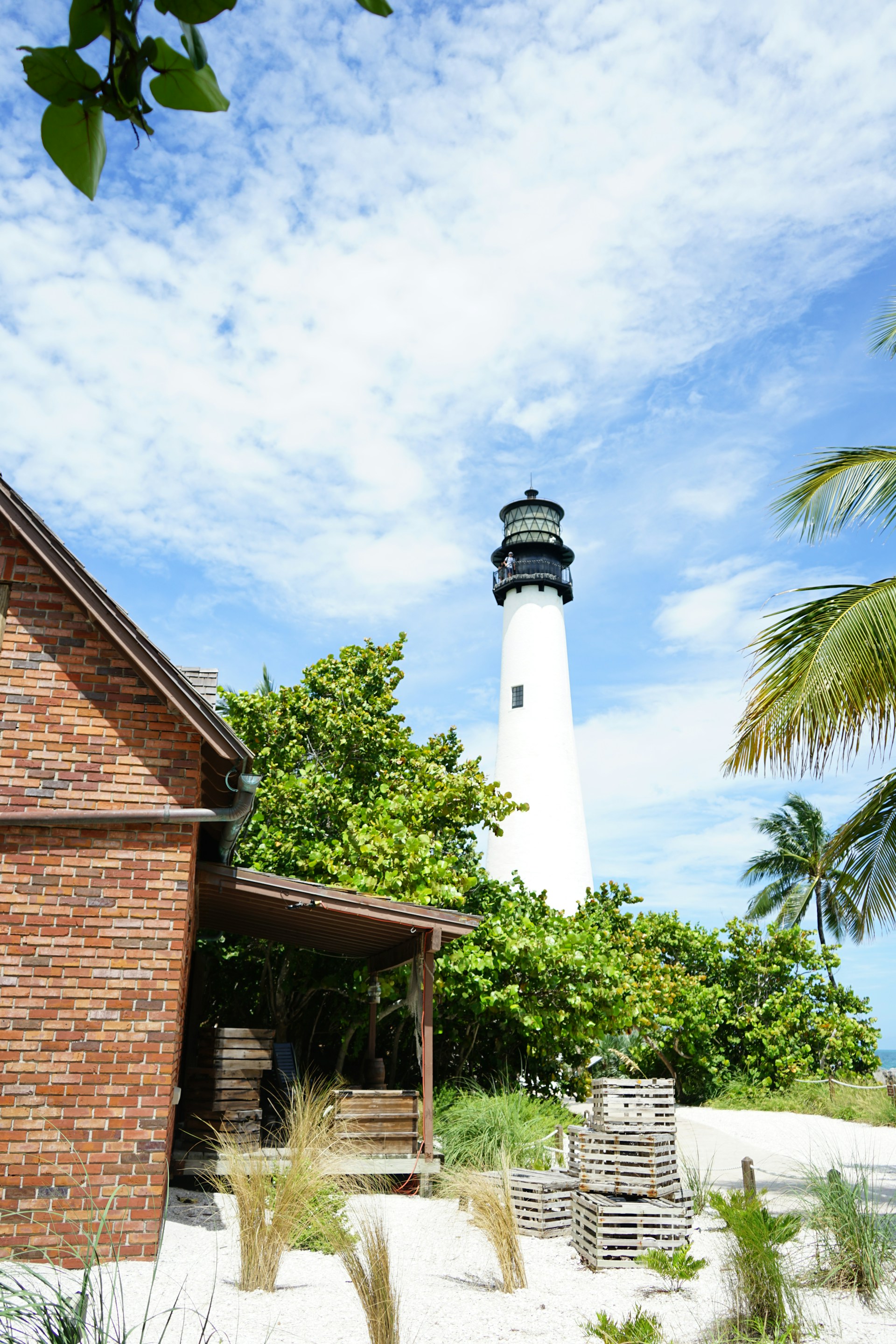 Naturaleza costera en Cape Florida State Park