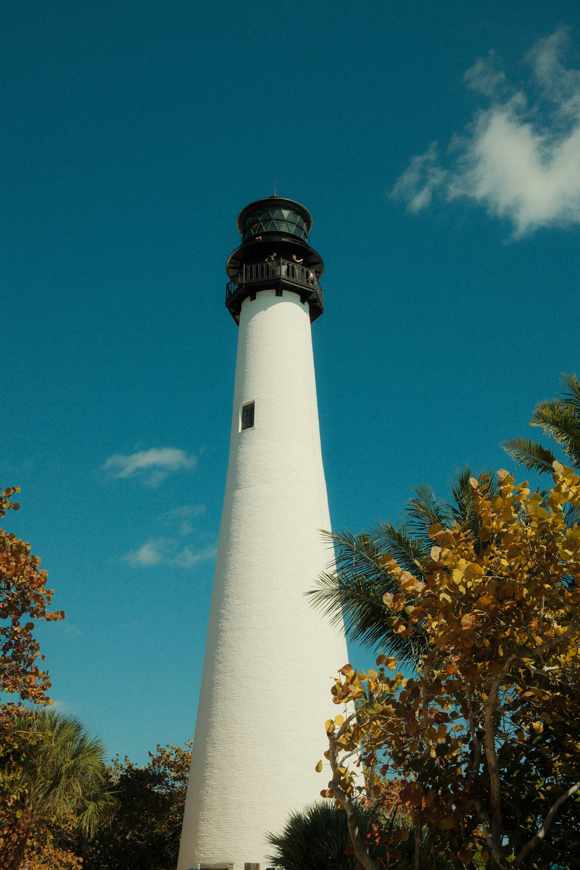 Paisaje de Bill Baggs Cape Florida
