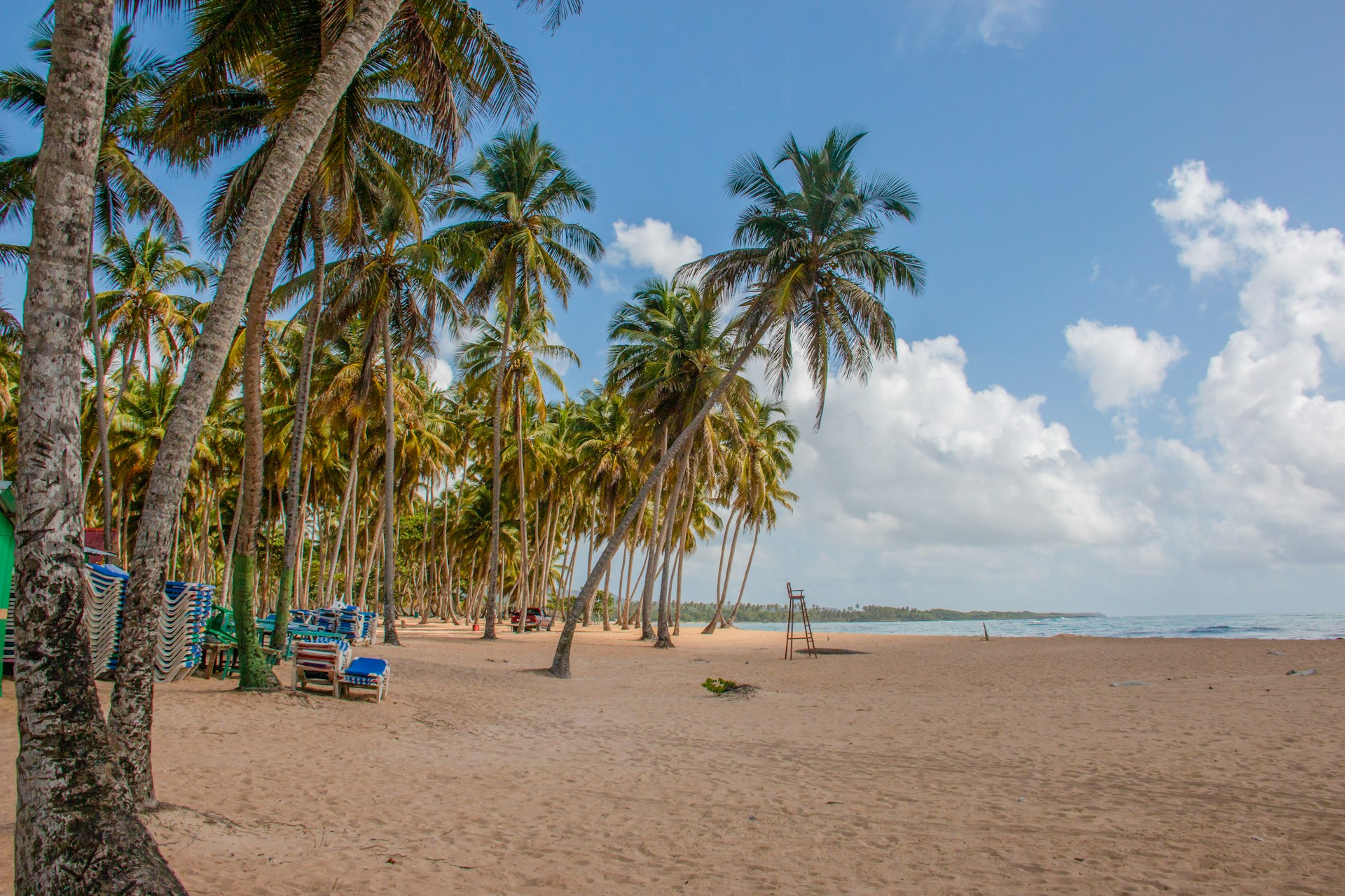 Crandon Park Beach — arena blanca y aguas cristalinas en Key Biscayne