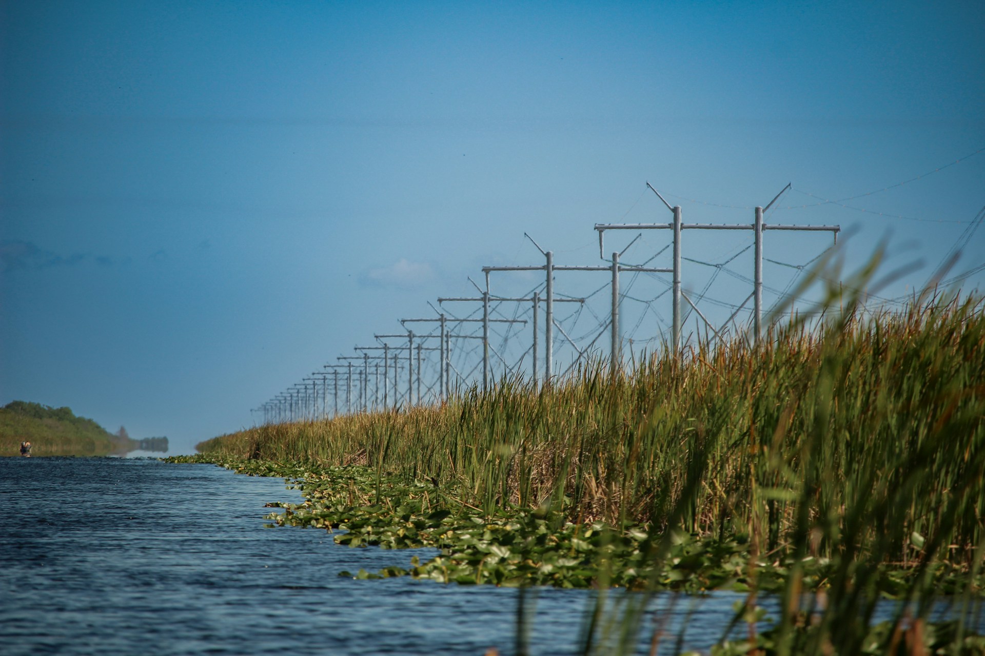Manglar al amanecer en los Everglades