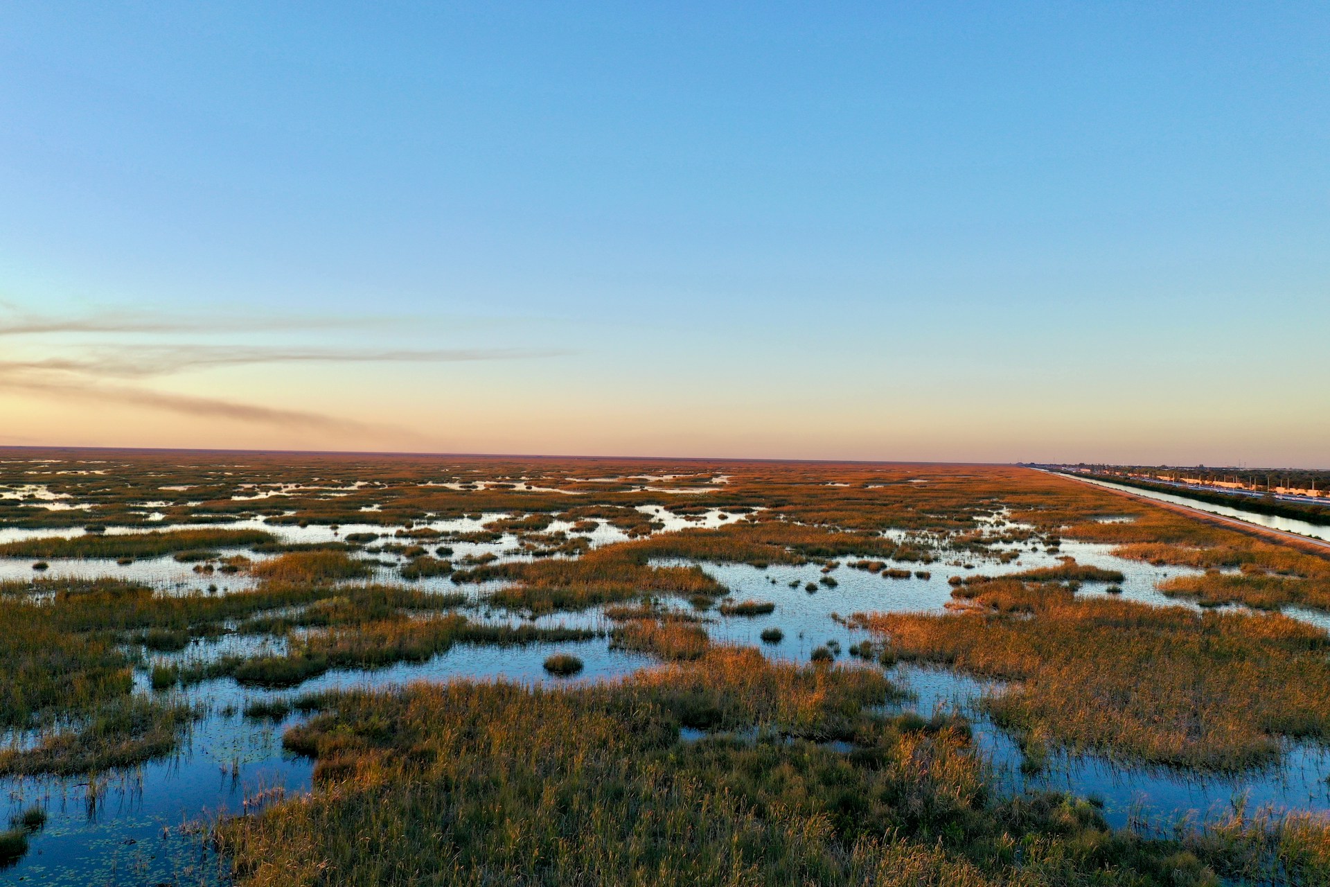 Paisaje de hierba en los Everglades