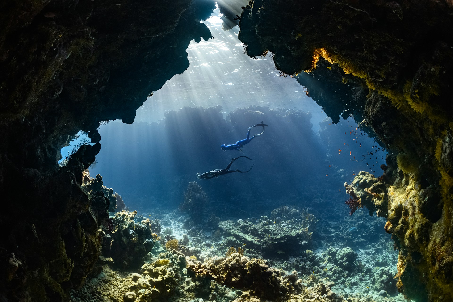 Arrecife de coral en John Pennekamp Coral Reef State Park, Key Largo