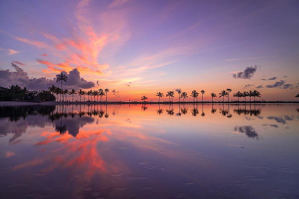 Palmeras y playa en Matheson Hammock, Coral Gables