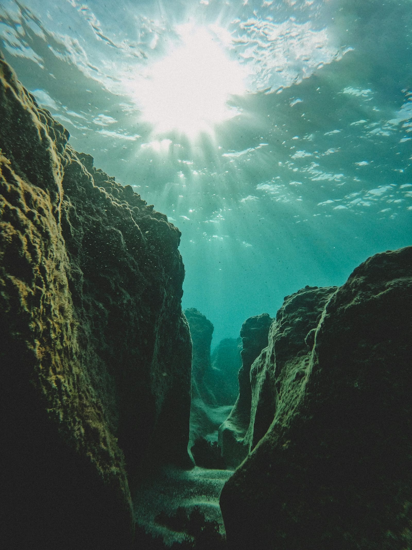 Buceo en el Neptune Memorial Reef