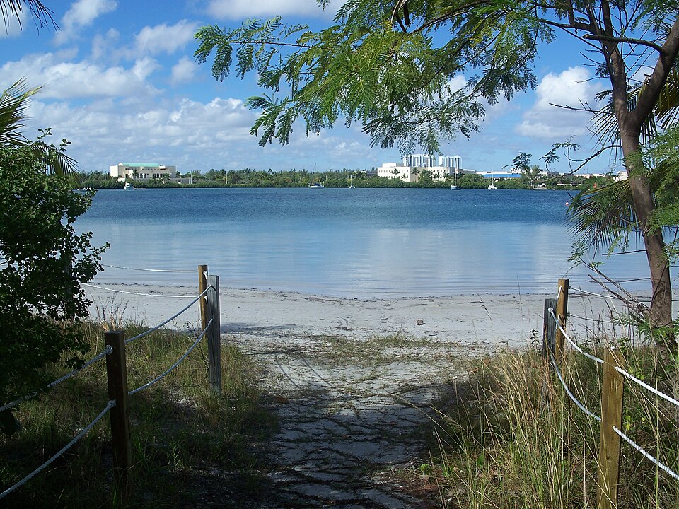 Manglares en los Florida Keys