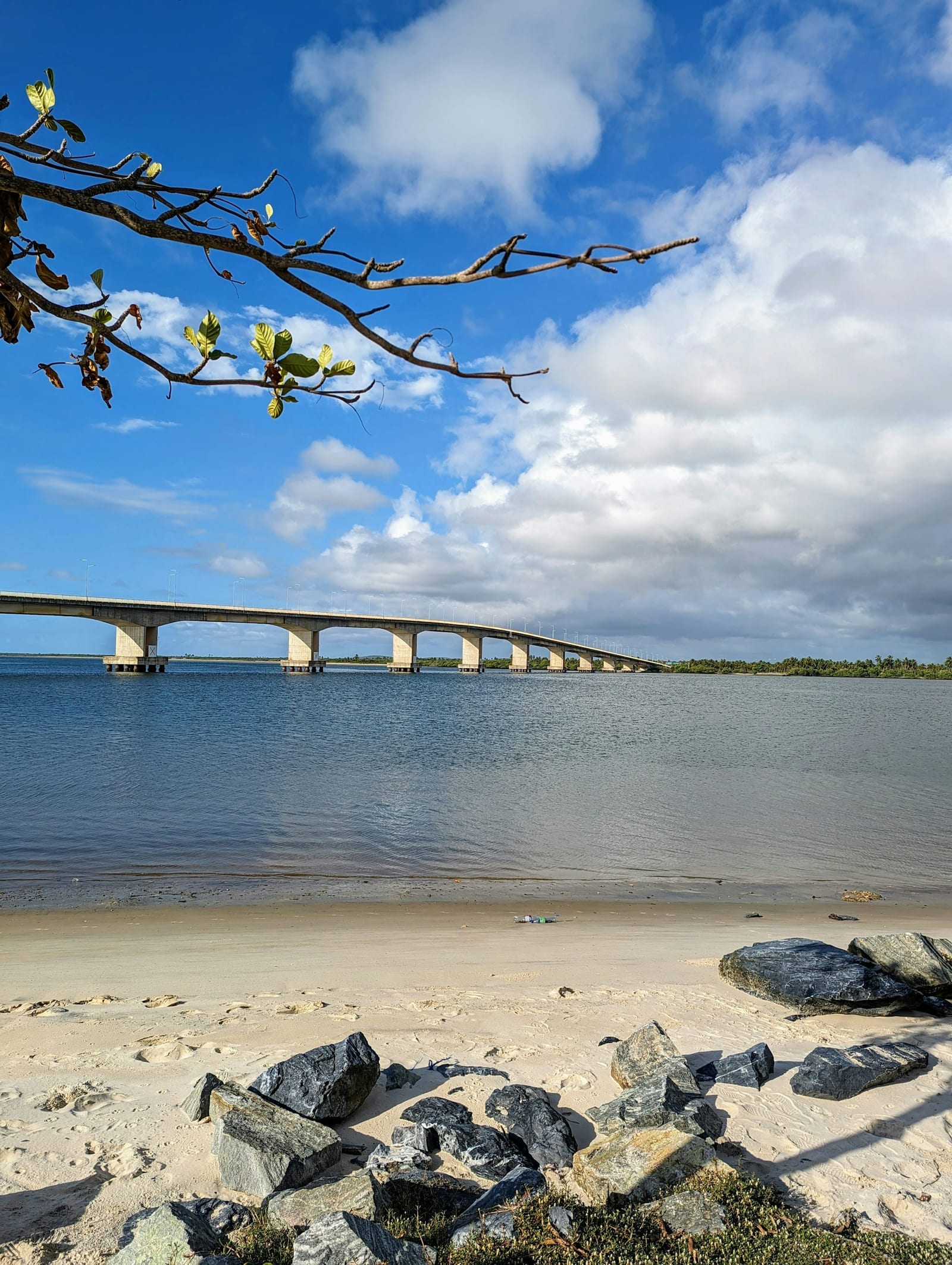 Orilla del Rickenbacker Causeway con el skyline de Miami al fondo