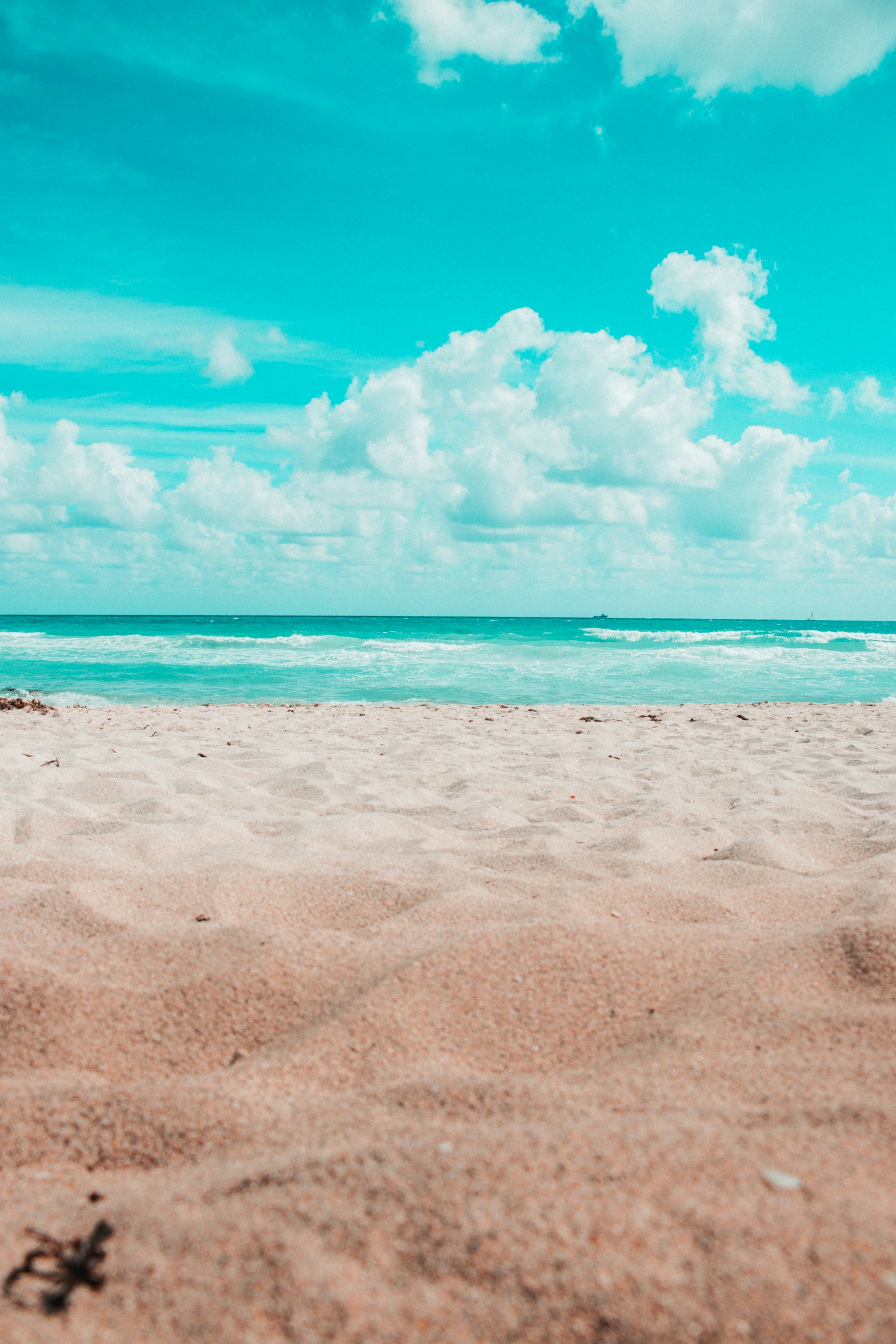 Costa de Virginia Key en Miami