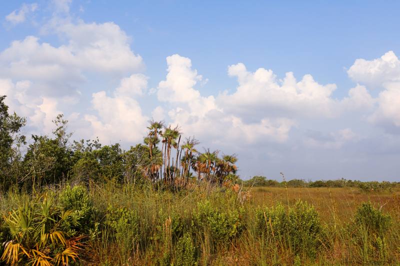 Biscayne Kayak Tours — ejemplo de listing