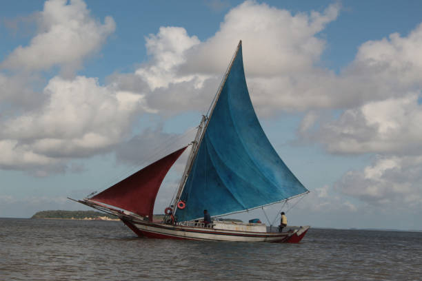 Actividades outdoor en Miami — kayak, senderismo y buceo